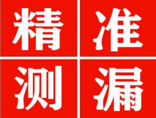 天镇尚嘉漏水精准查找
